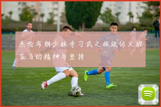 杰伦布朗少林寺习武之旅效仿文班亚马的精神与坚持